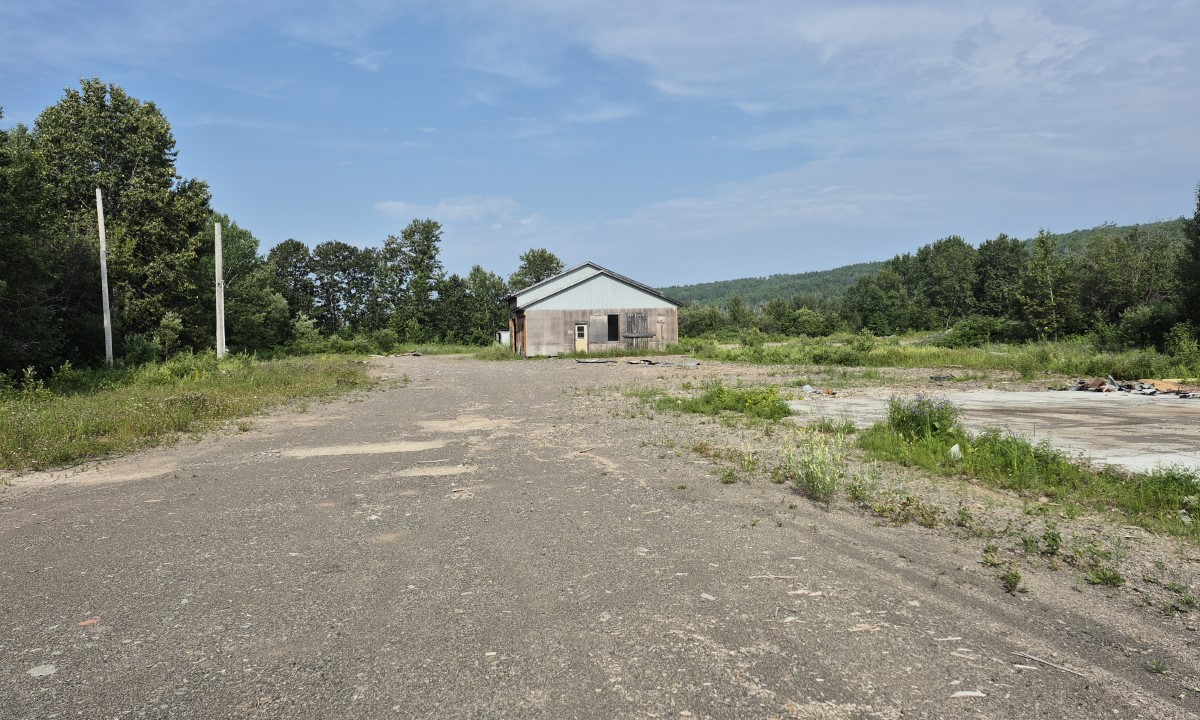 Terrain à évaluer pour étude environnementale avant développement à Saint-Anselme